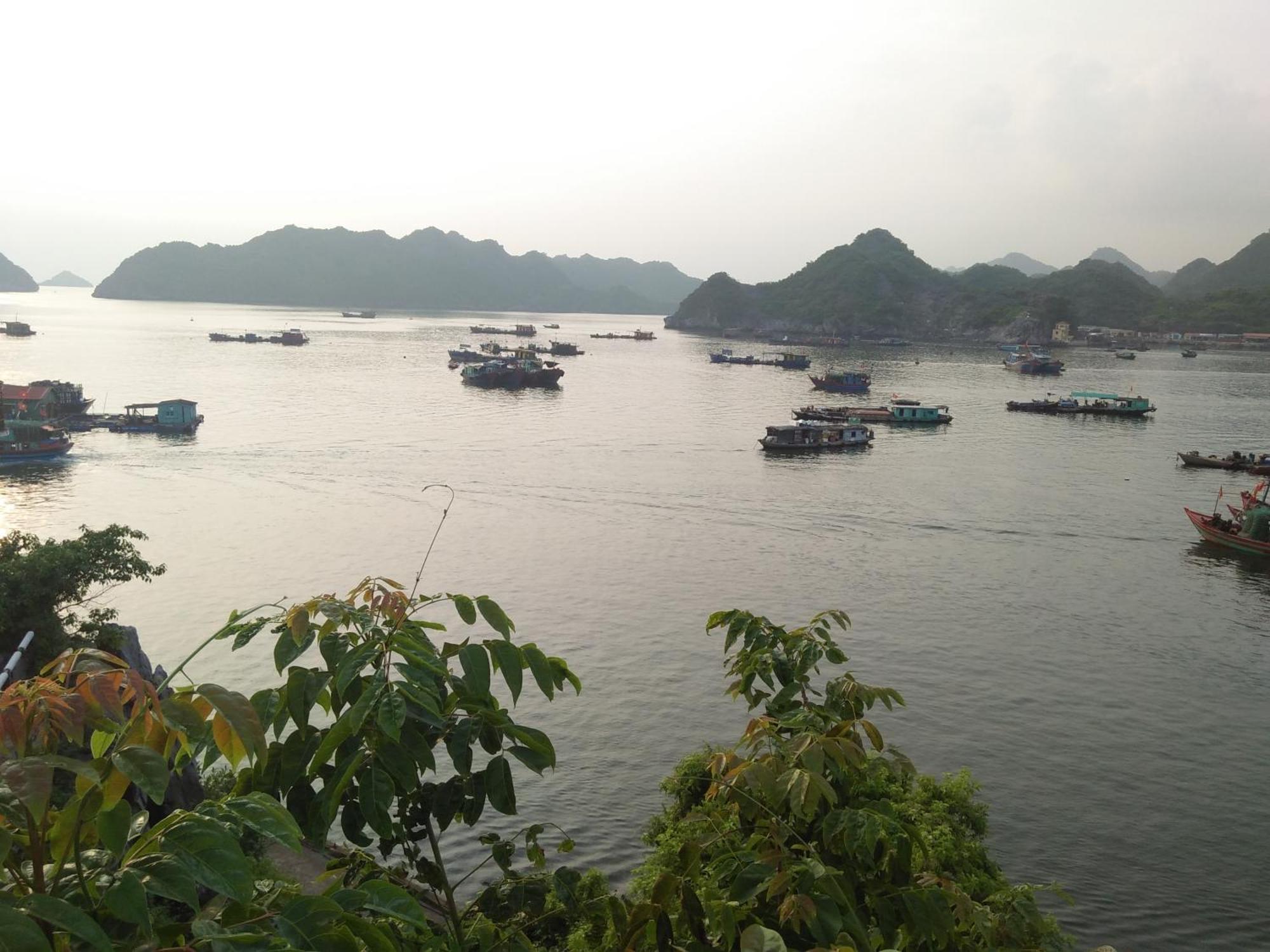 Cat Ba Victory Hostel Dong Khe Sau エクステリア 写真