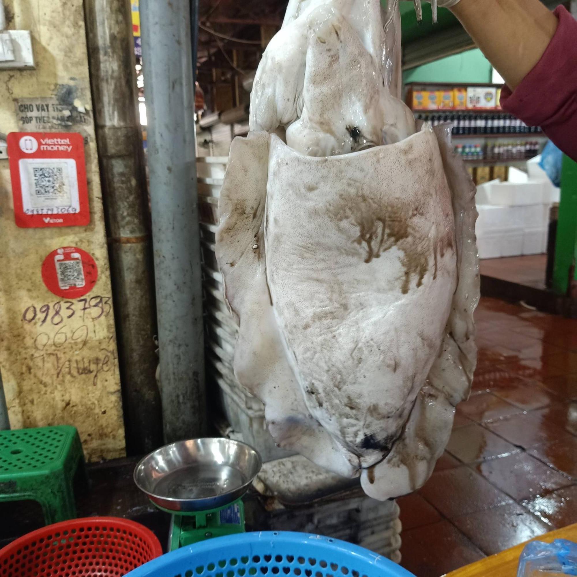 Cat Ba Victory Hostel Dong Khe Sau エクステリア 写真